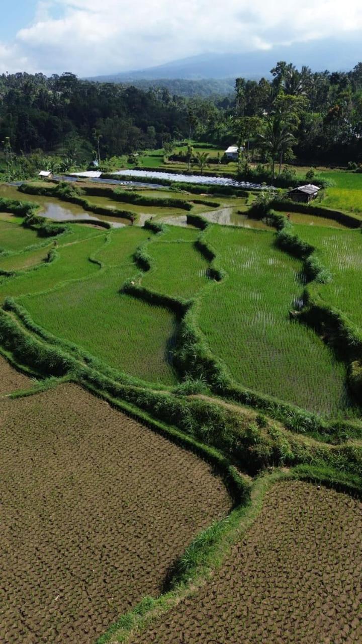 Banana Bungalows Tetebatu Exteriör bild