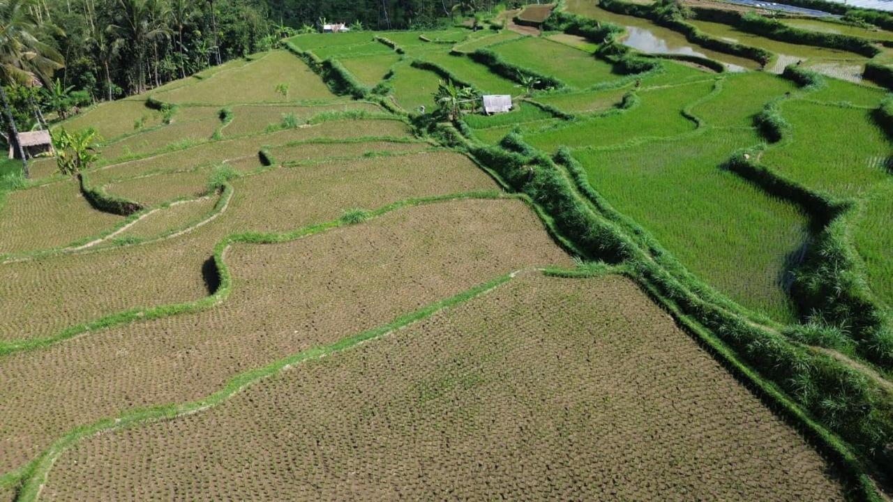 Banana Bungalows Tetebatu Exteriör bild