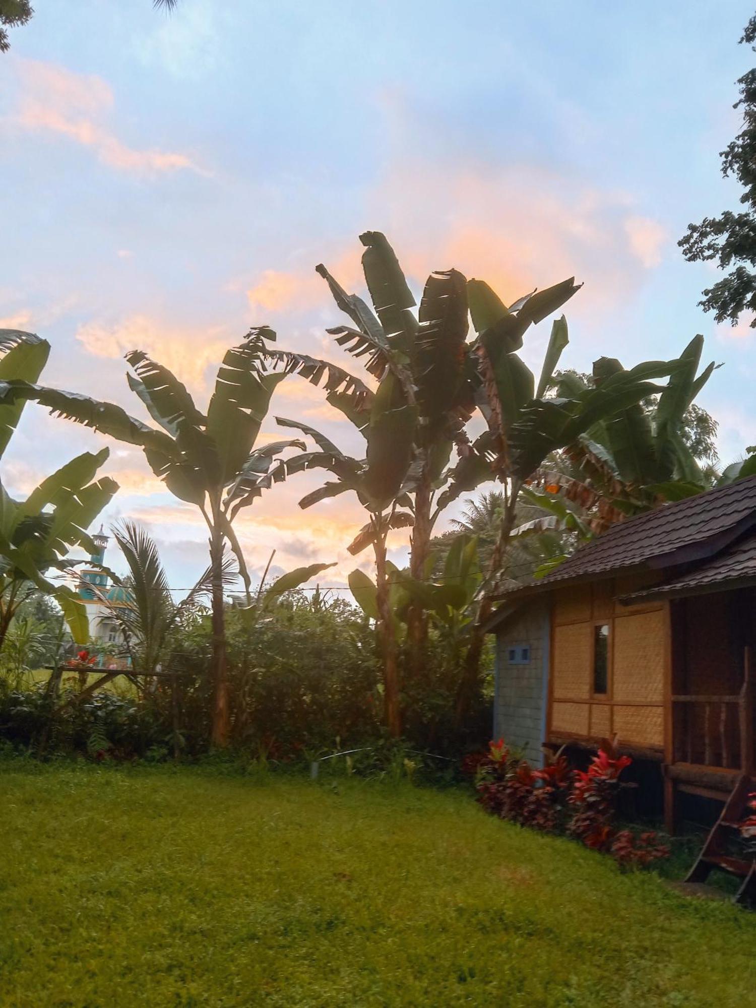 Banana Bungalows Tetebatu Rum bild