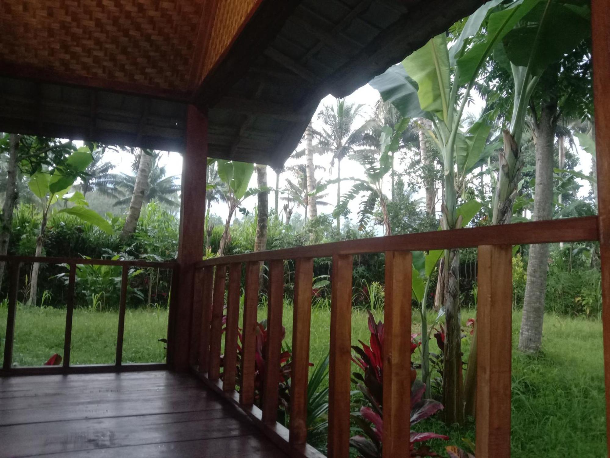 Banana Bungalows Tetebatu Rum bild